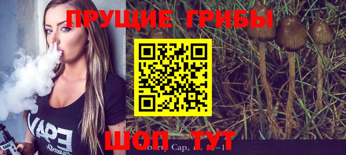 Псилоцибиновые грибы Psilocybe Гусь-Хрустальный